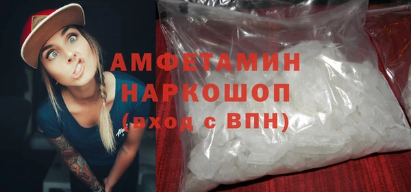 гашик Алексин