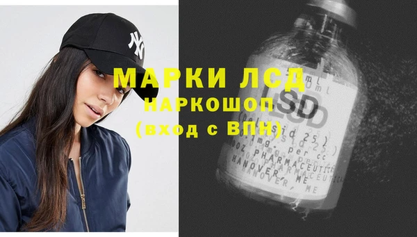 ECSTASY Алзамай