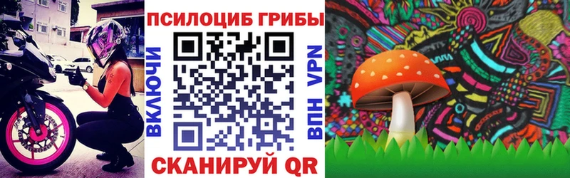 Псилоцибиновые грибы Psilocybe  купить наркоту  Харовск 
